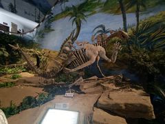 -自贡恐龙博物馆