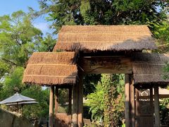 -厦门园林植物园-植物园滴水山房