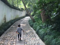 -杭州黄龙洞