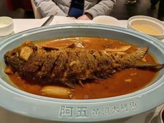 -阿五黄河大鲤鱼(纬三路店)
