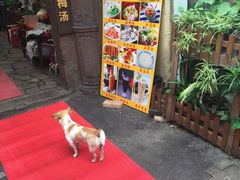 -老宅原住民沙茶面精品小吃(龙头路店)