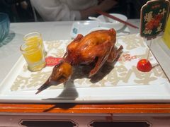 -大鸽饭(动物园店)