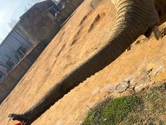 -杭州野生动物世界