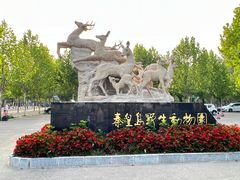 -秦皇岛野生动物园