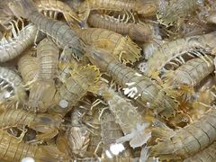 -宴小馆·小海鲜青岛菜(五四广场店)