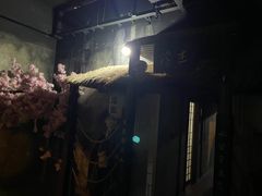 -Mr.Fox狐狸先生超级密室(南山店)