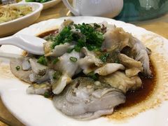 特色香葱淋鲈鱼-粤·向群饭店(泮塘路店)