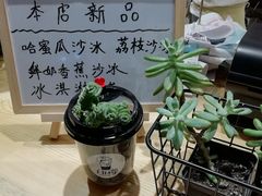 -白日梦奶茶