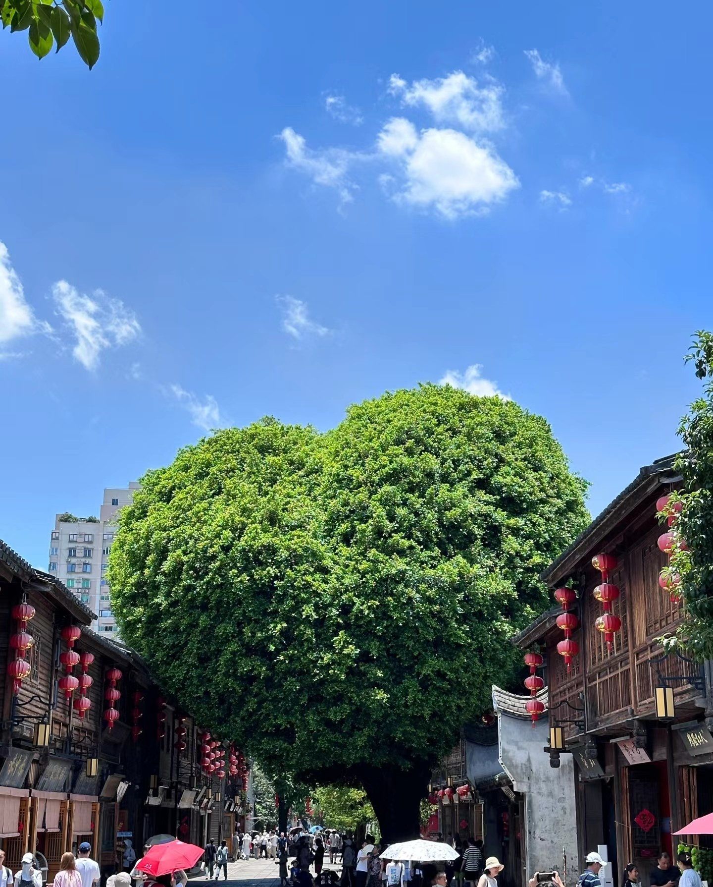 福州三坊七巷