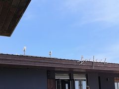 -海风酒吧 喝精酿 听民谣(阿那亚礼堂店)