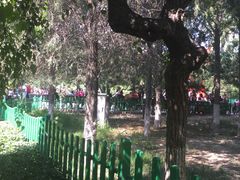 -双榆树公园