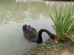 -有拈头成都市井火锅(老门东店)