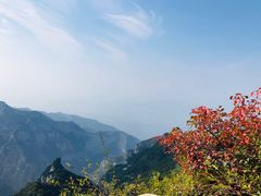 -少华山国家森林公园