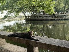-西园戒幢律寺