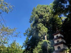 -都江堰普照寺