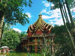 -西双版纳勐泐文化旅游区