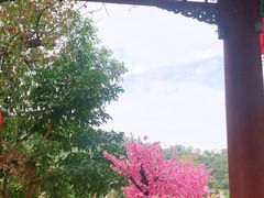 -初选(华发世纪城店)