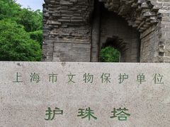 -上海佘山国家森林公园天马山园