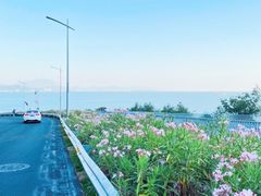 -玫瑰海岸文化旅游度假区