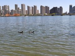 -保定东湖公园(莲池区)