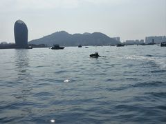 -三亚绿发山海天JW万豪酒店