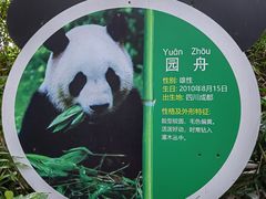 -深圳野生动物园