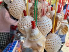 -广东惠东海龟国家级自然保护区