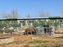 -西安秦岭野生动物园