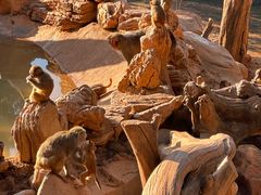 -云南野生动物园