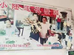 -小陆莲花蟹园农家乐(莲花岛店)