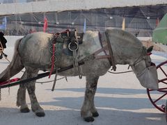 -人民防洪胜利纪念塔