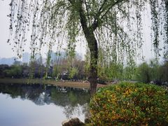 -堤角公园