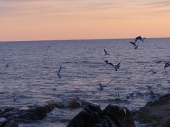 -老虎石海上公园