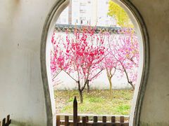 -南汇桃花村