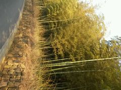 android_upload_pic-苏州环秀晓筑养生度假村