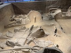 -洛阳周王城天子驾六博物馆