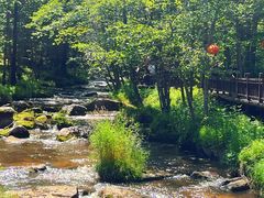 -汤旺河林海奇石景区