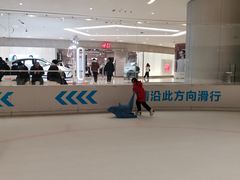 -TheRink大零溜冰场(IFS国金中心店)