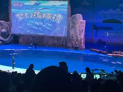 -华夏文旅海洋公园