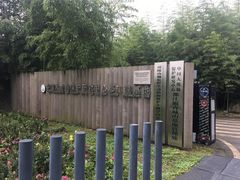 -都江堰中华大熊猫苑