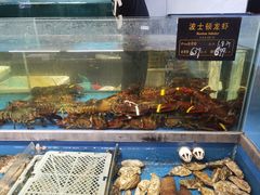 -神洲四海大酒楼(王府井澳门中心店)