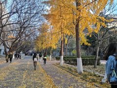 -山东师范大学(千佛山校区)