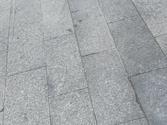 -胖哥俩肉蟹煲(湛江印象汇店)