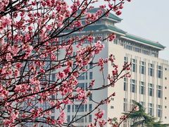 -武汉大学-樱园