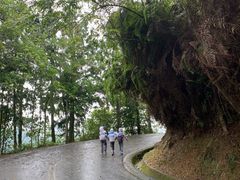 -金盆阿嬷香菇茶叶蛋(玄光店)