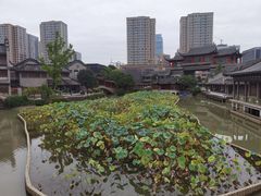 -龙潭水乡
