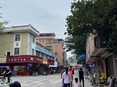 -长洲岛