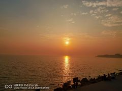 -深圳湾公园(南山区)