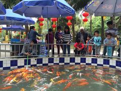 -广东茂名森林公园