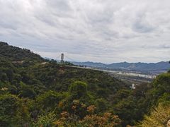 -南丹山森林王国
